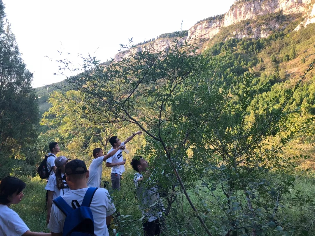 20180911014937385 20180911014937385